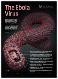 Ebola Outbreak - Before the Evil days come….